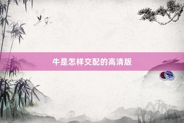牛是怎样交配的高清版